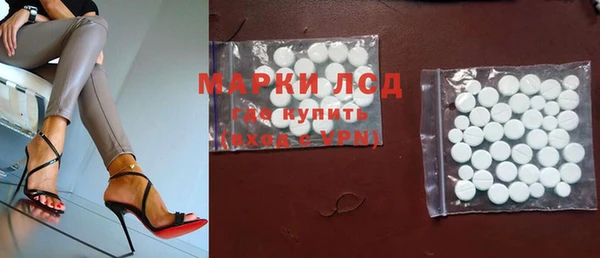 хмурый Абаза