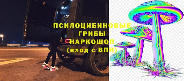 mdpv Ельня