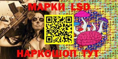 гашик Бийск