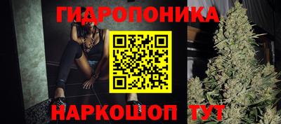 гашик Бийск