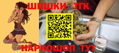 гашик Бийск