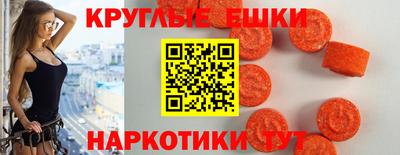 гашик Бийск
